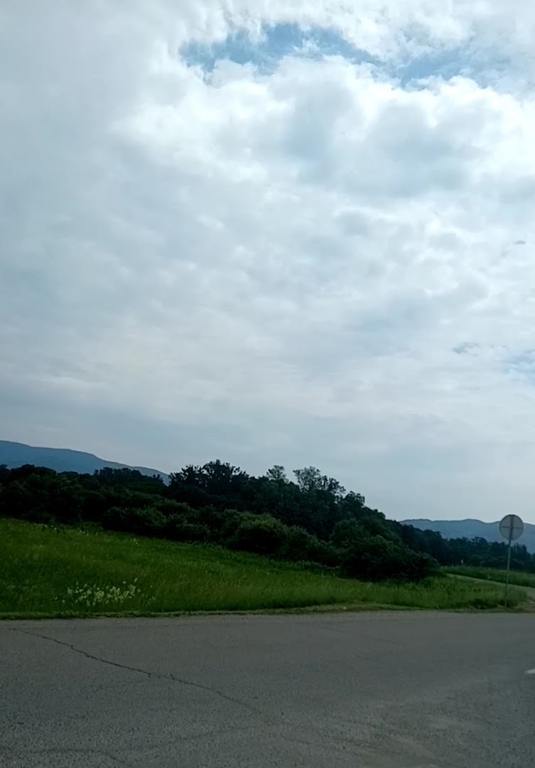 Prodaja domaćih jagoda