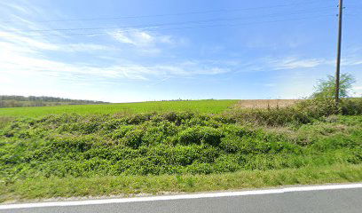 Old cemetery Mala Pisanica