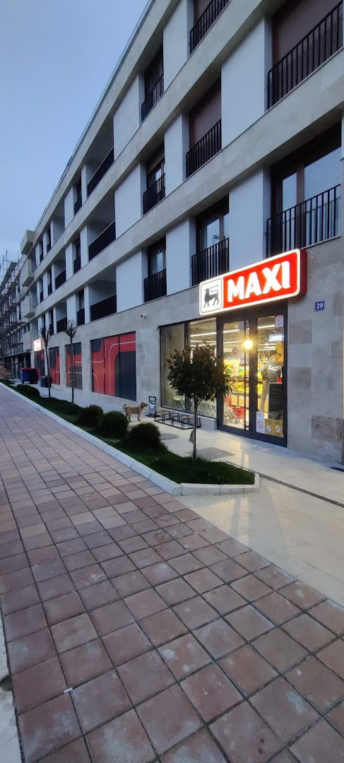 Maxi - Dragiše Lapčevića