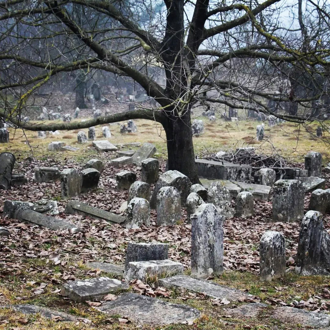 Jewish Cemetery Valdirose/ Rožna Dolina