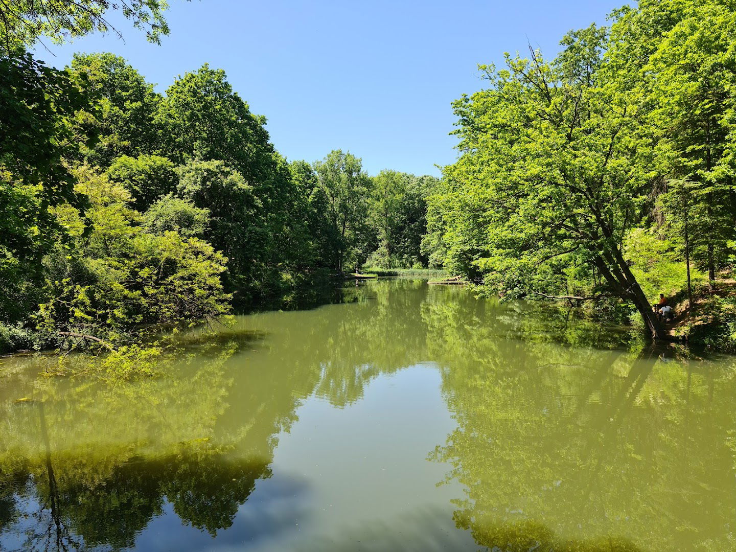 Језеро Трешња