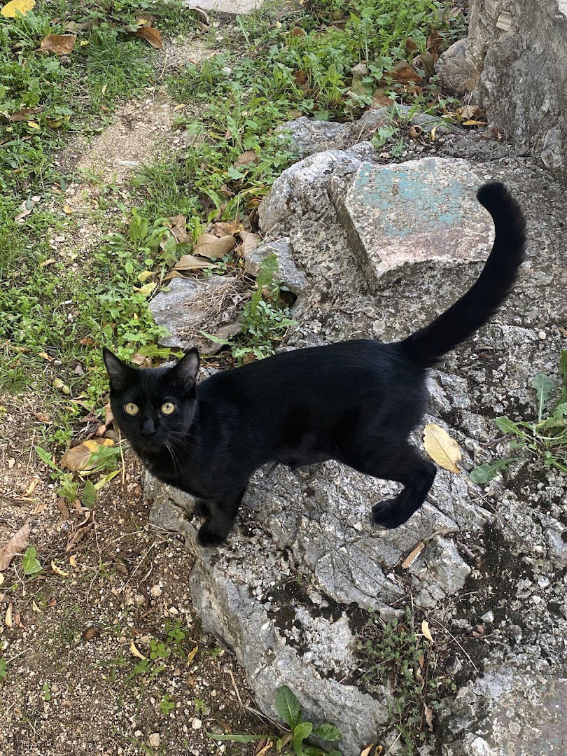 Biokovska planinarska staza (BPS)