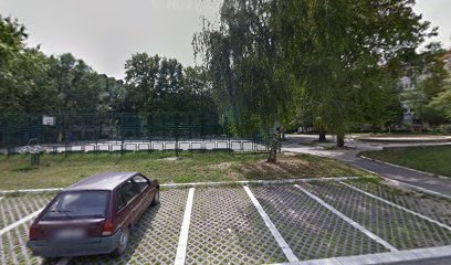 Milan Tepić Park