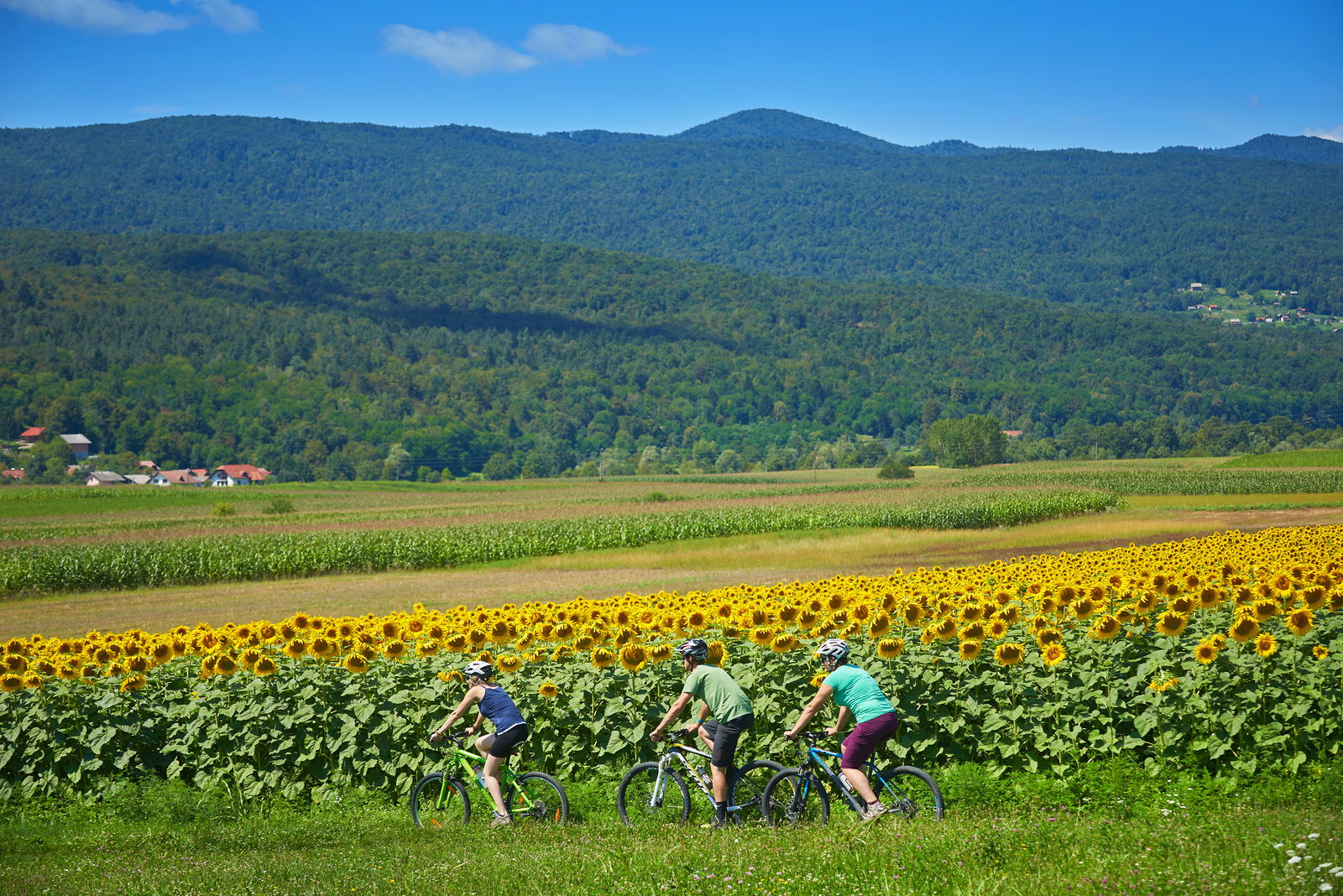 Rent a bike & cycling tours Bela krajina