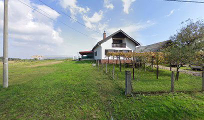 Green Piece of Nature