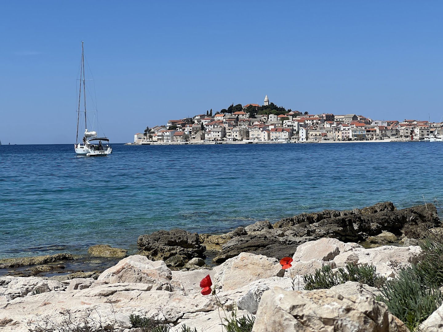 Viewpoint of Primosten