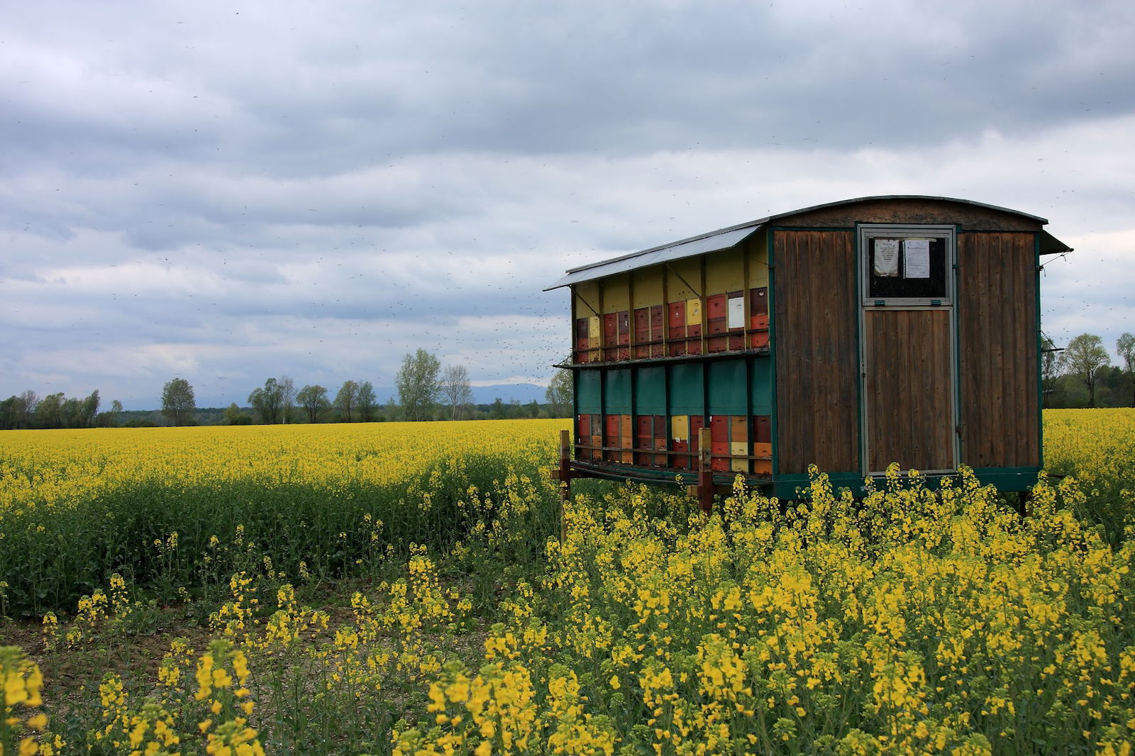 Stočna Hrana BOŽJAKOVINA