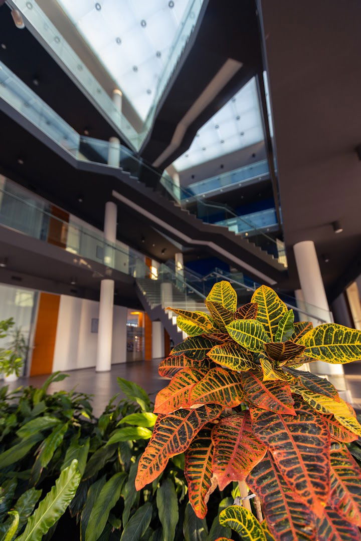 Zagreb Montaža - Vikom