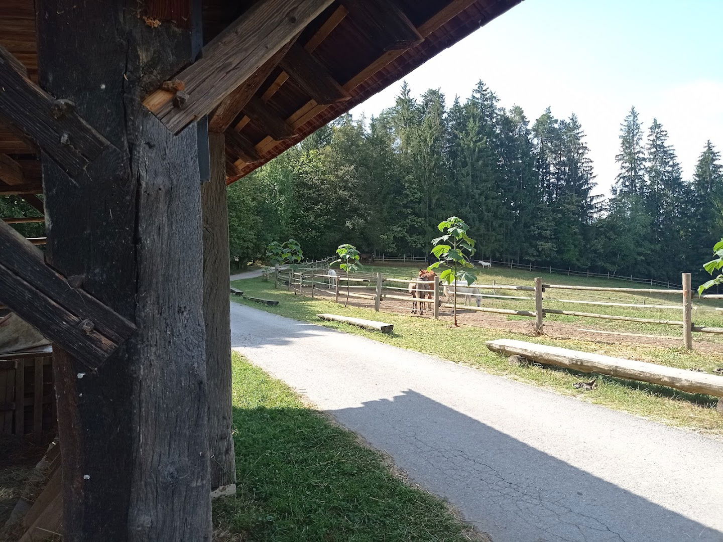 Ranč Kaja in Grom - Turistična kmetija - Žnidaršič Darja