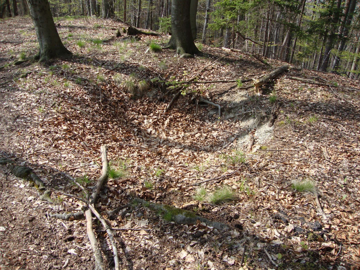 Grad Freienberg (lokacija, sledovi)