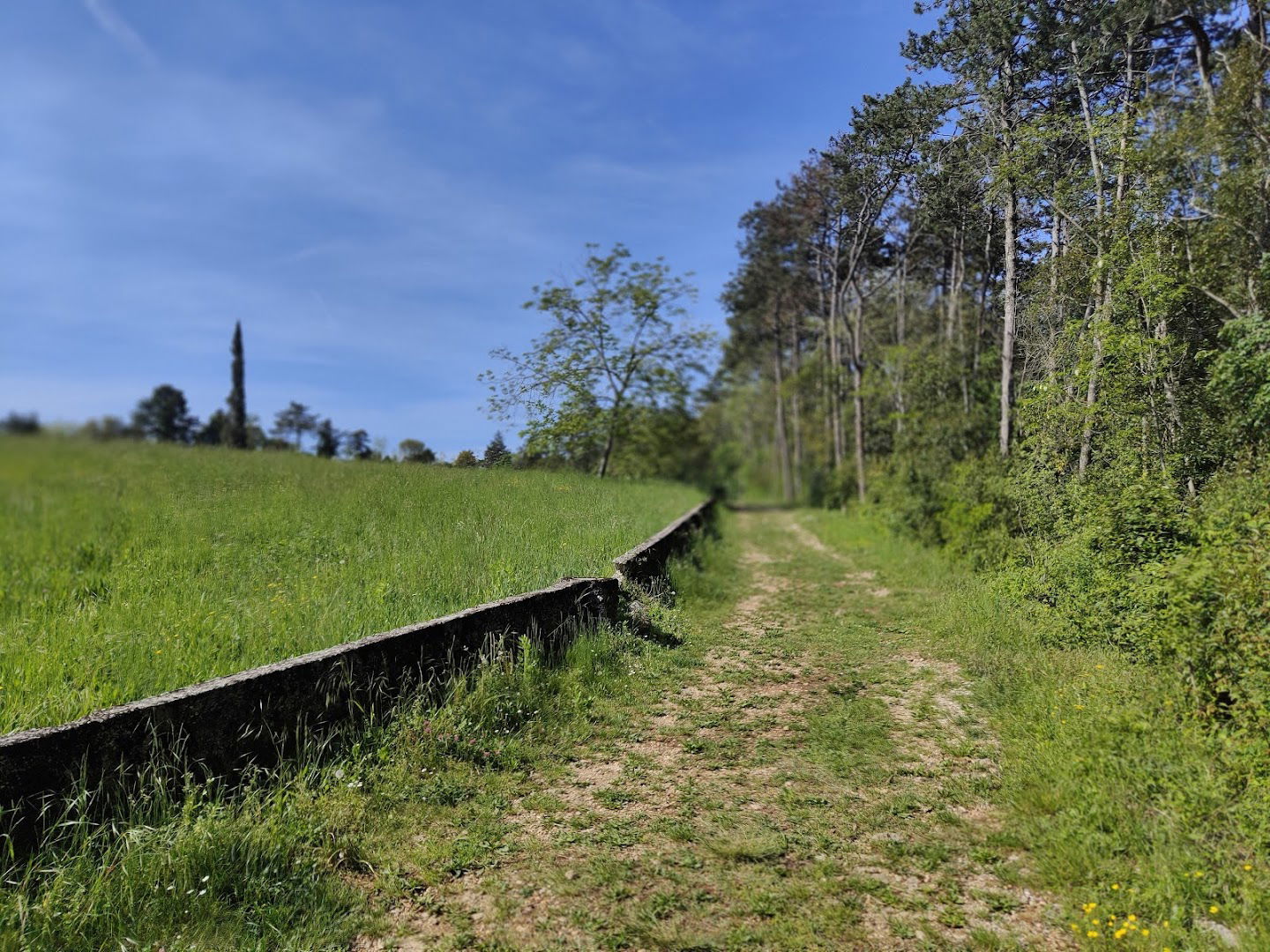 Cippo a Giannino Antona Traversi