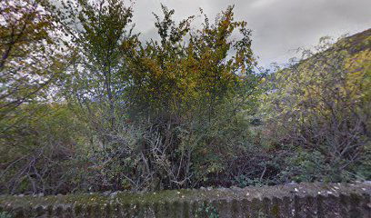 Kuća Mire i Nine Dronjak