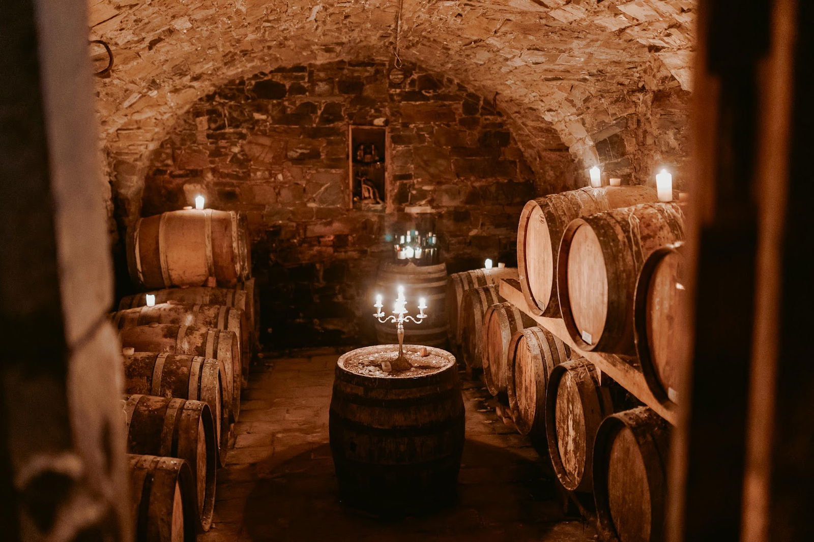 Wine Tours Slovenia - Wine Tasting