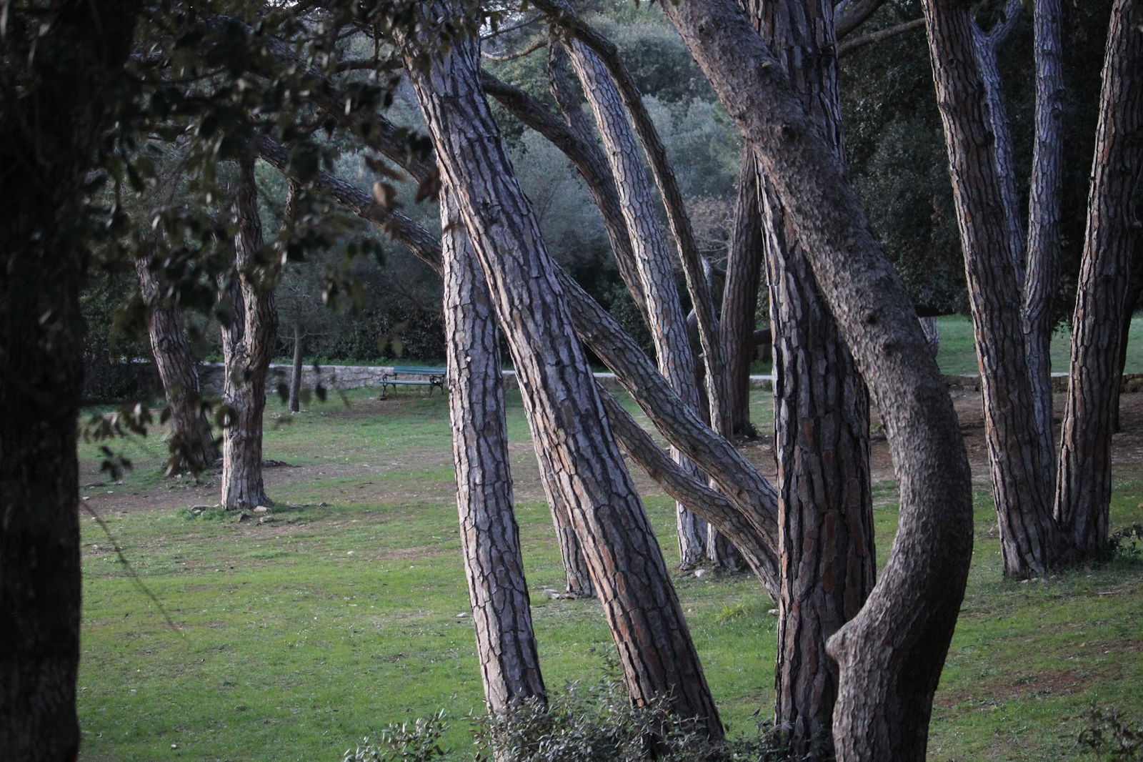 Adistra kayak point - Zlatni Rt