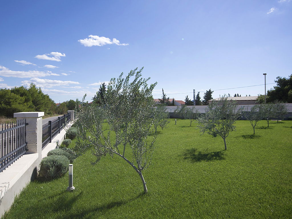 Center of olive oil St John