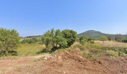 UUvala Pokrivenik predio Bočić otok Hvark