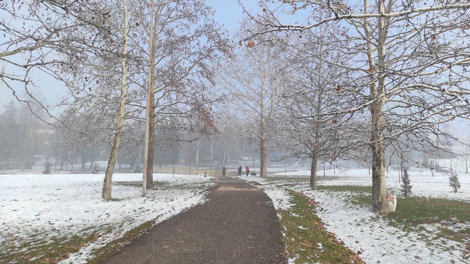 Sportski tereni Veliki Park