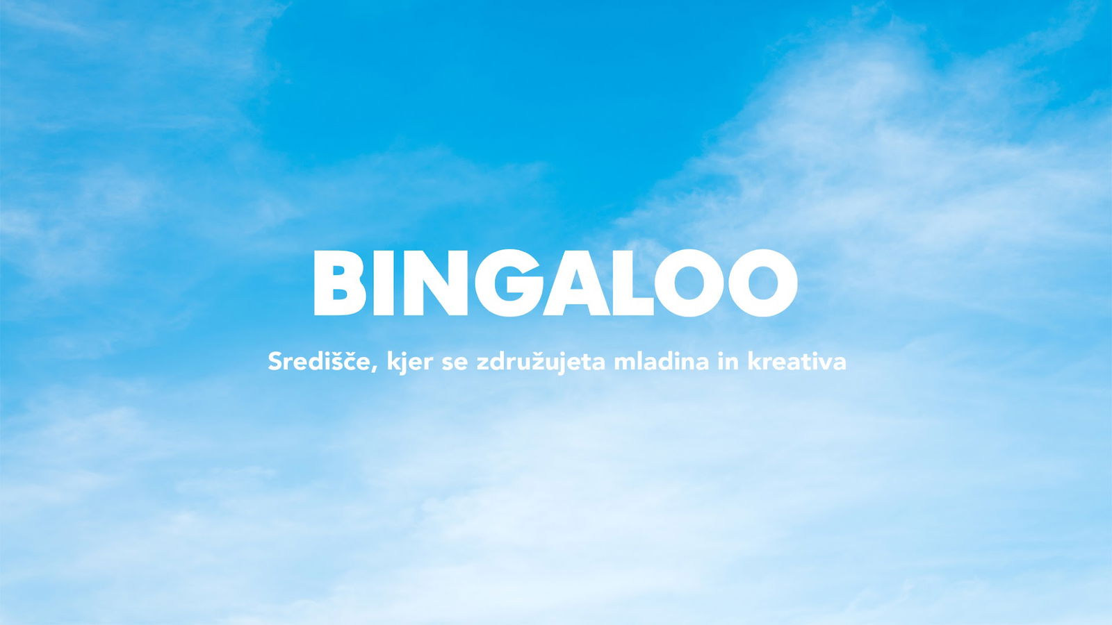 Bingaloo media network