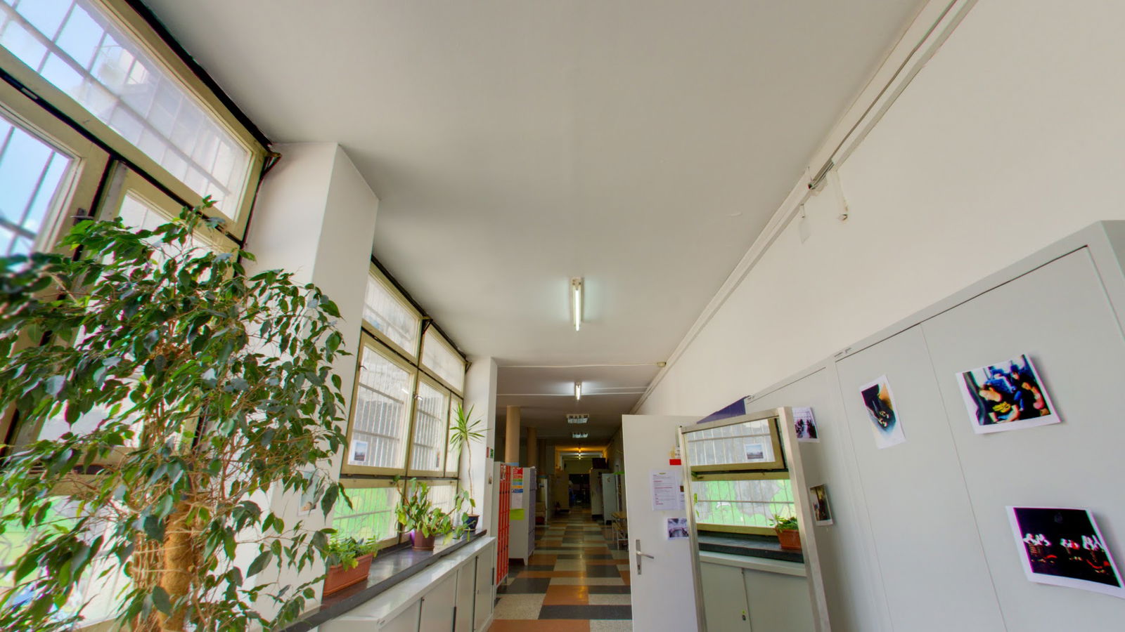 Škola suvremenoga plesa Ane Maletić