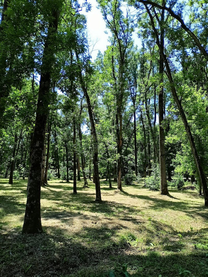 Park šuma Borkovac