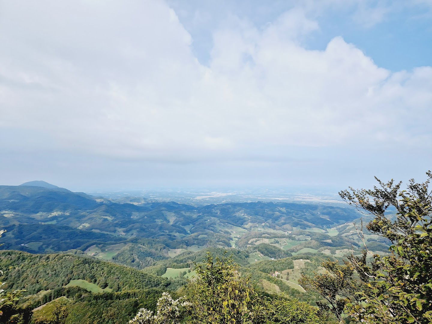 Klopca ljubezni Donačka gora