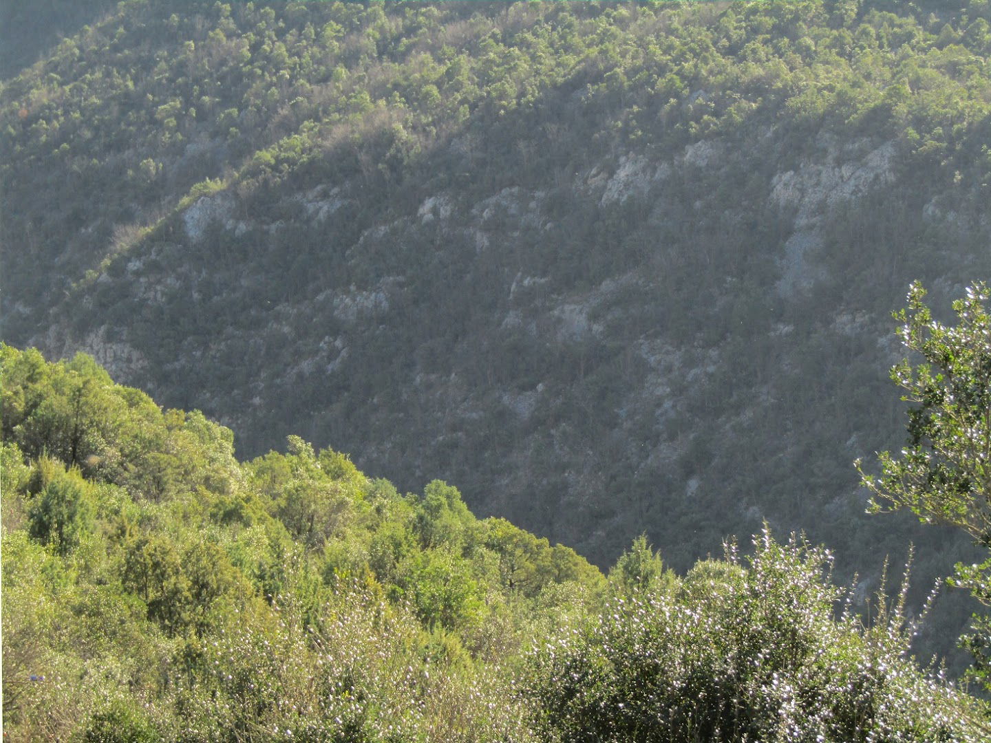 Skakala waterfalls and evergreen canyon