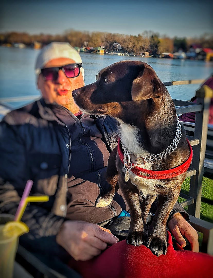 VETERINARSKA AMBULANTA MARJANOV ŽARKO MARJANOV PREDUZETNIK BEOGRAD, BREGOVITA 11