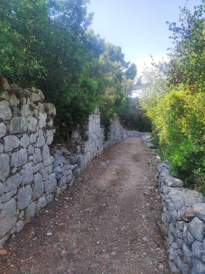 Dumanj Monastery of St. Vida (remains)