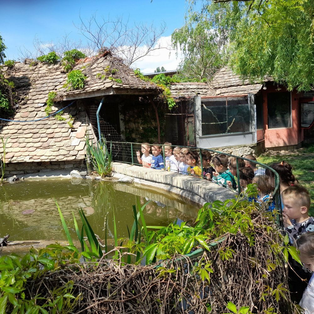 Vrtić Korak Po Korak, Inđija