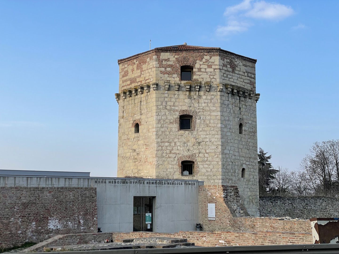 Nebojša Tower