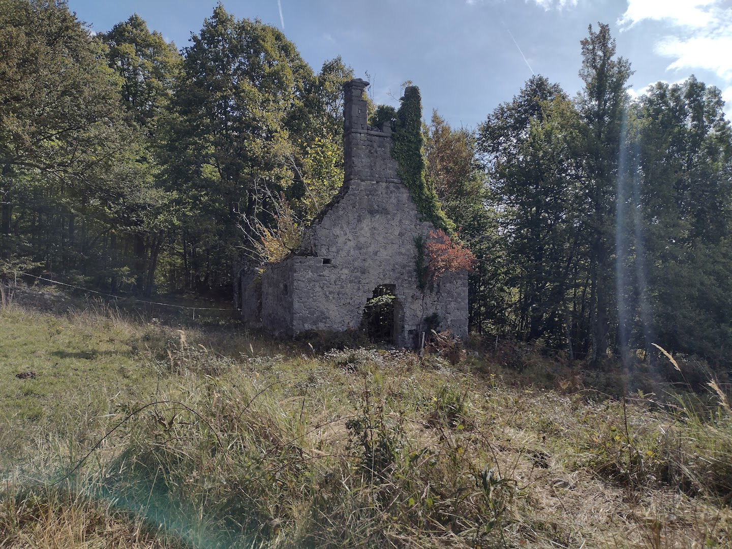 Ruševine cerkve sv. Petra na Bukovi gori