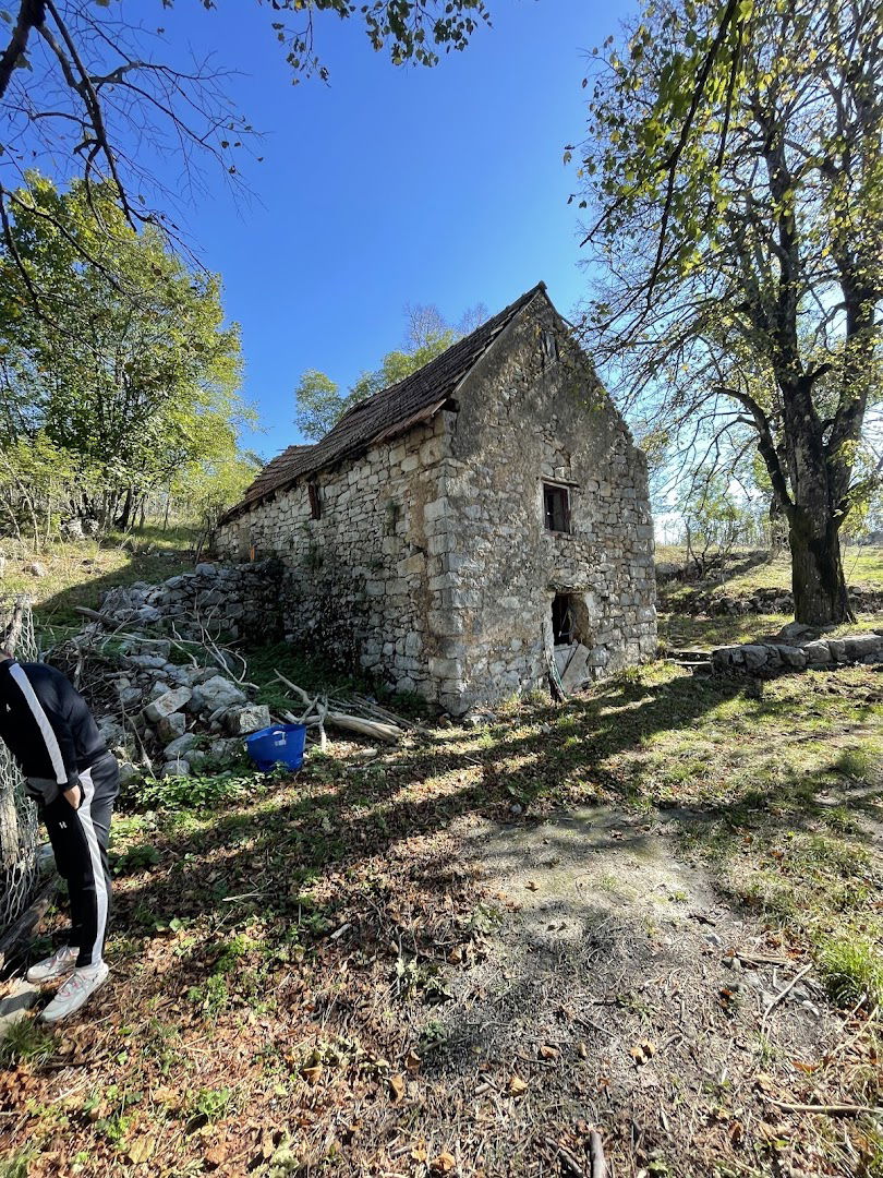 Grubišići (Cerovac)