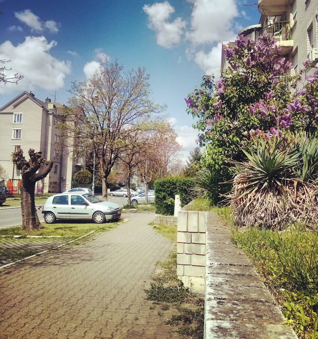 Дринске дивизије