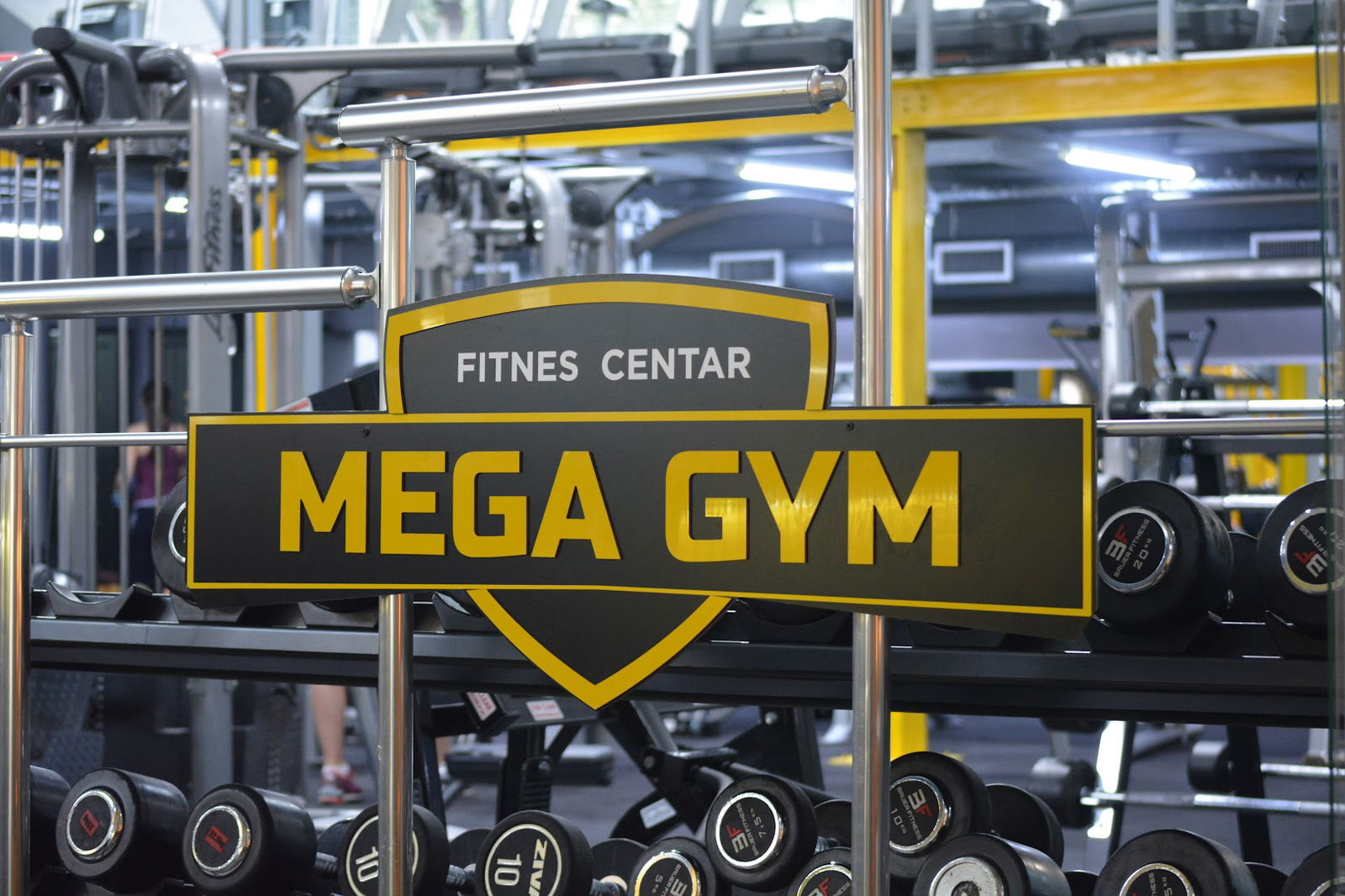 Mega Gym