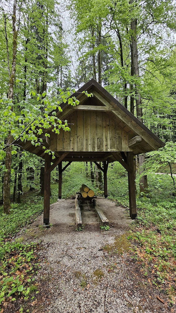Lauf - gozdna železnica