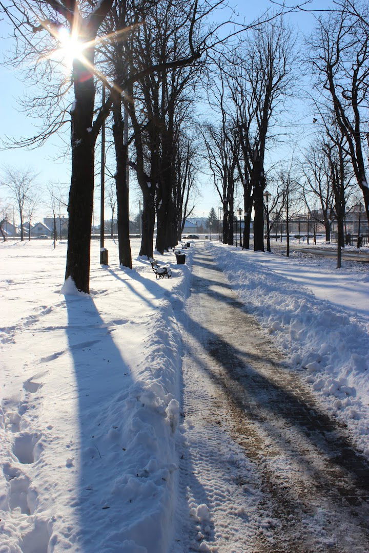 Autobusni terminal Vrapče