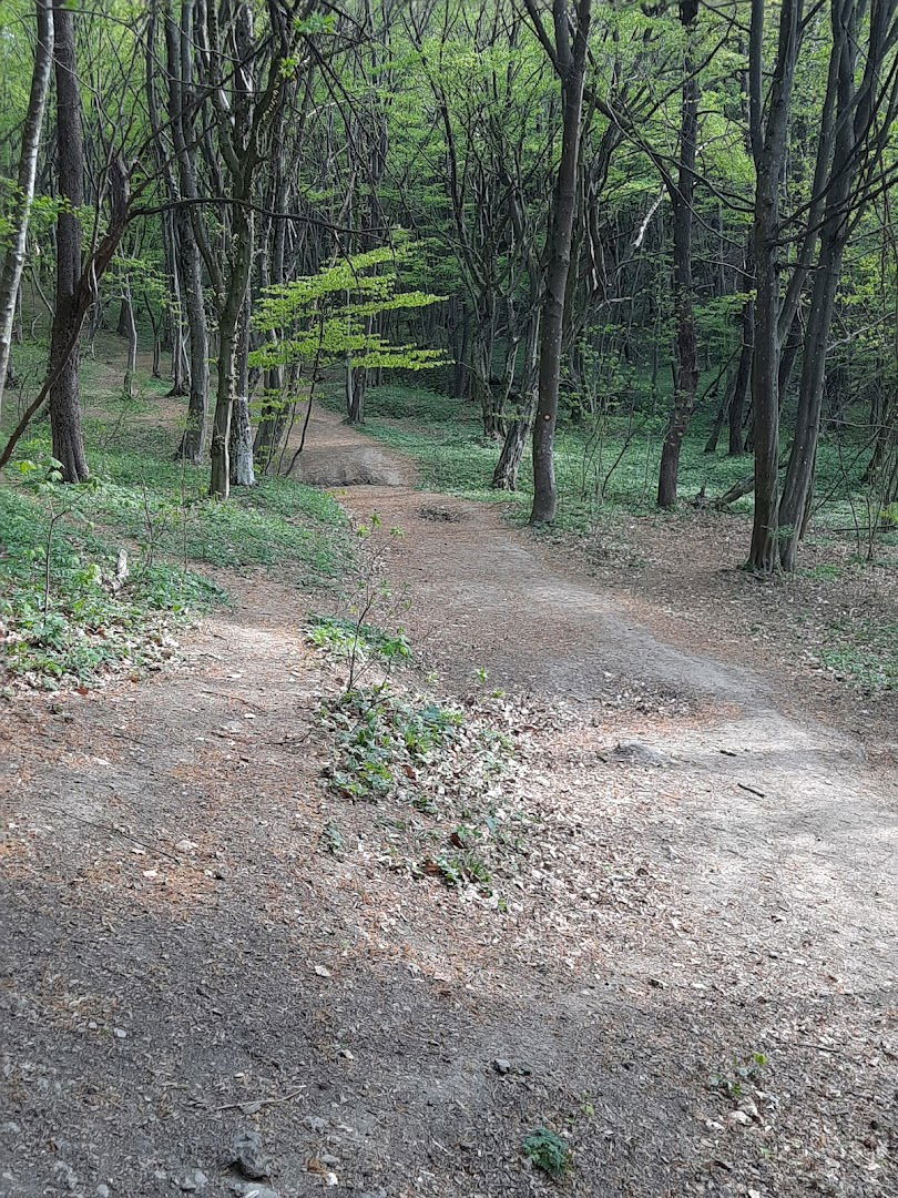 8ica Prema Ponikvama