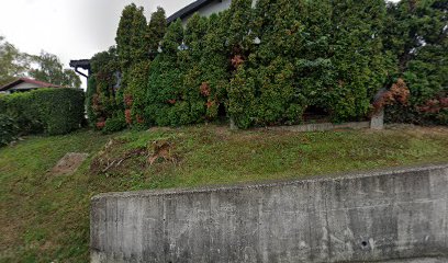 DOBROVOLJNO VATROGASNO DRUŠTVO SVETA NEDELJA