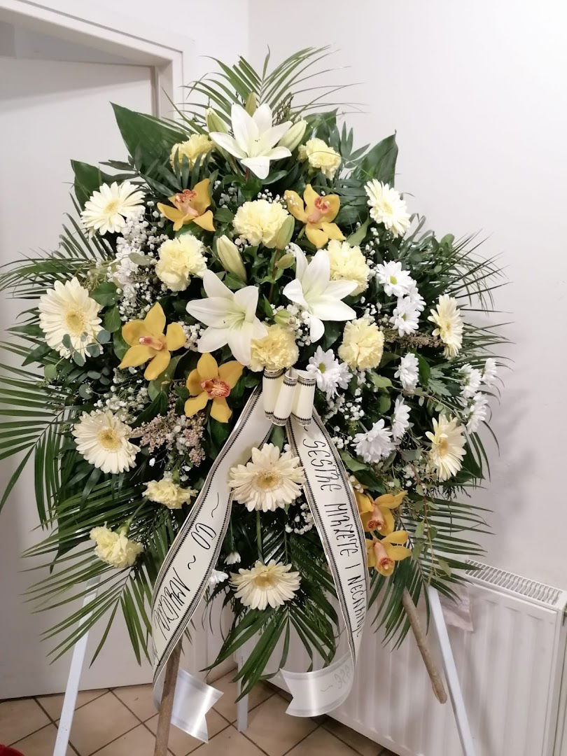 T. R. DALAS, VL. RENATA DAVIDOVIĆ MATANOVIĆ