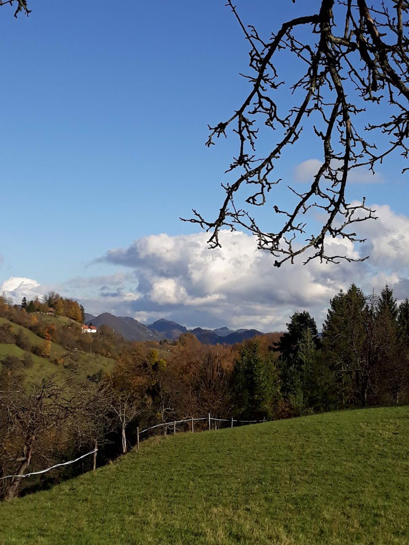 Avto-Moto Damjan, trgovina z avtomobili Damjan Škorjanc s.p.