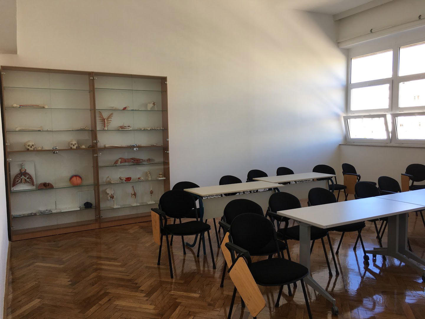 SVEUČILIŠTE U SPLITU, KINEZIOLOŠKI FAKULTET