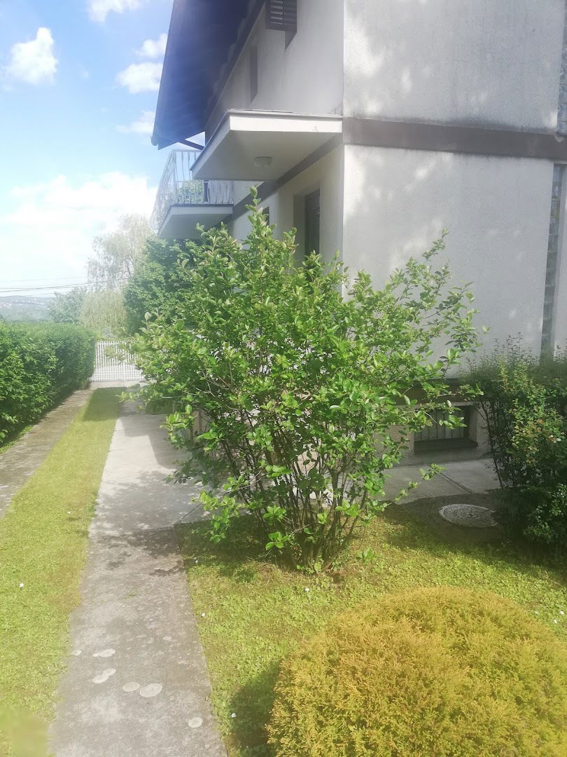 Крагујевачки Пут