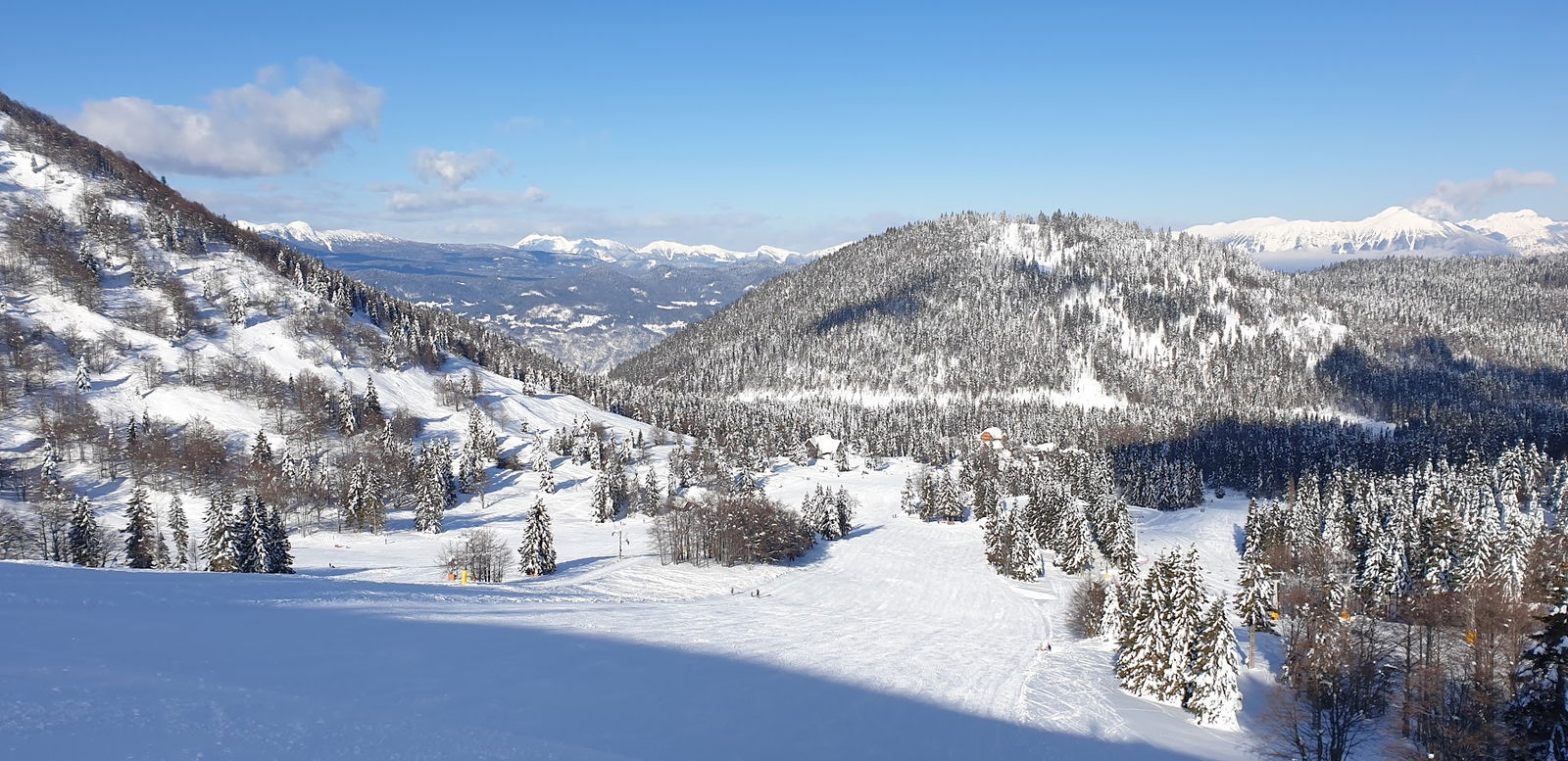 Soriška planina AlpVenture