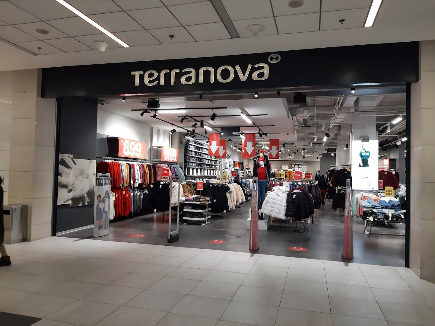 Terranova