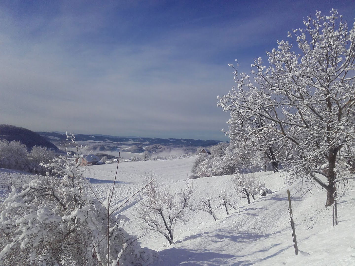 Stavbno mizarstvo Kozole Slavko, s.p.