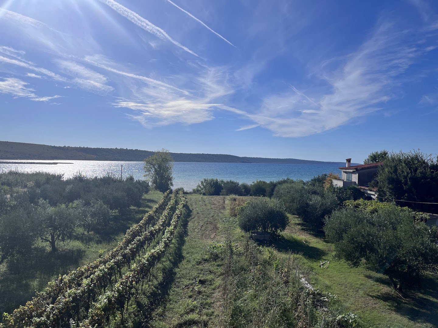 Apartmaji Jordan - Ljubač