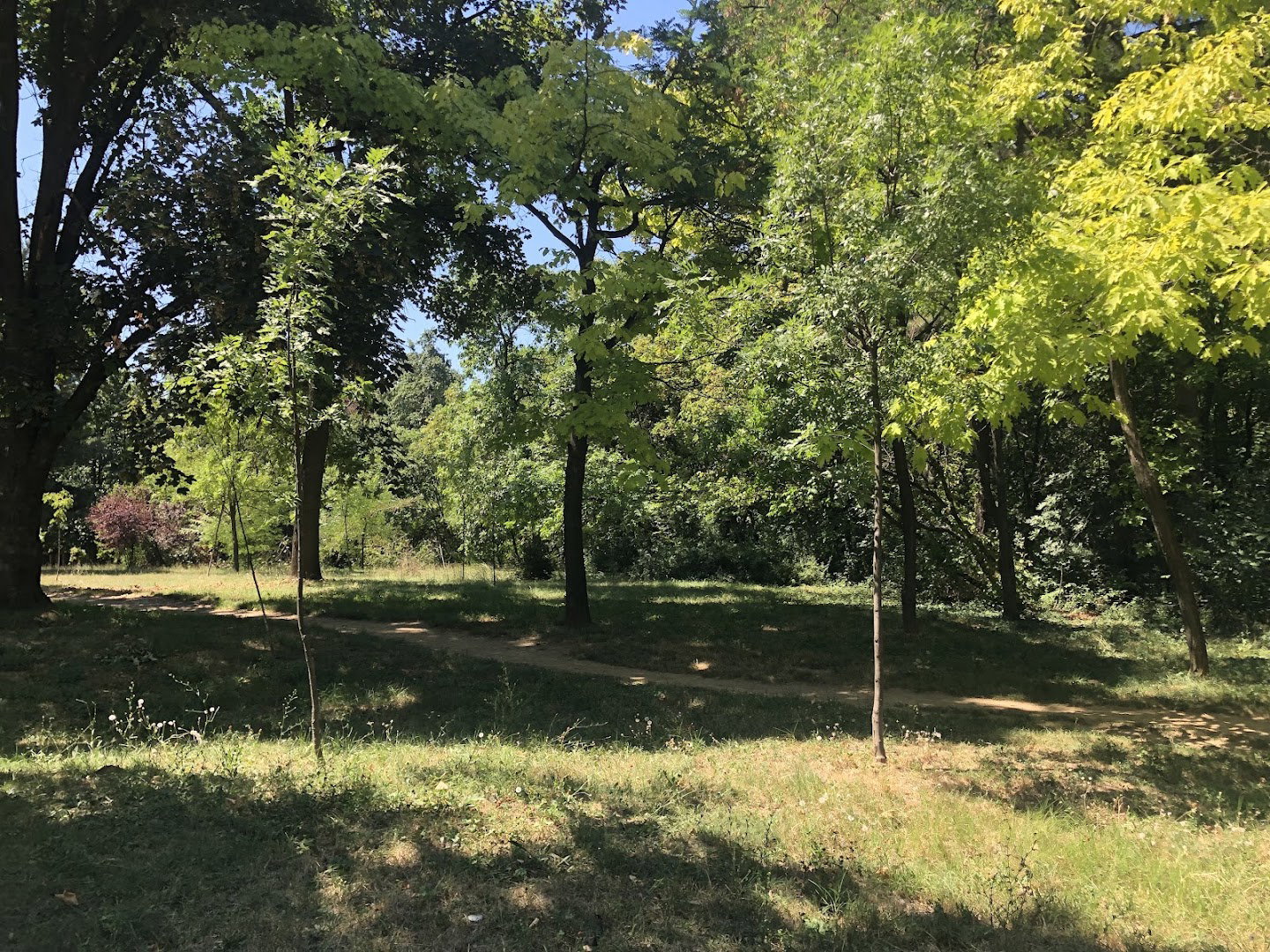 Zvezdarska šuma, Veljka Dugoševića