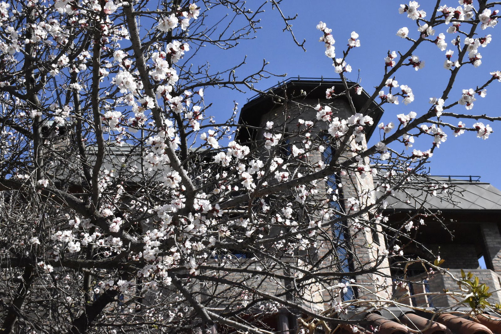 Основна школа "Звездобројци"