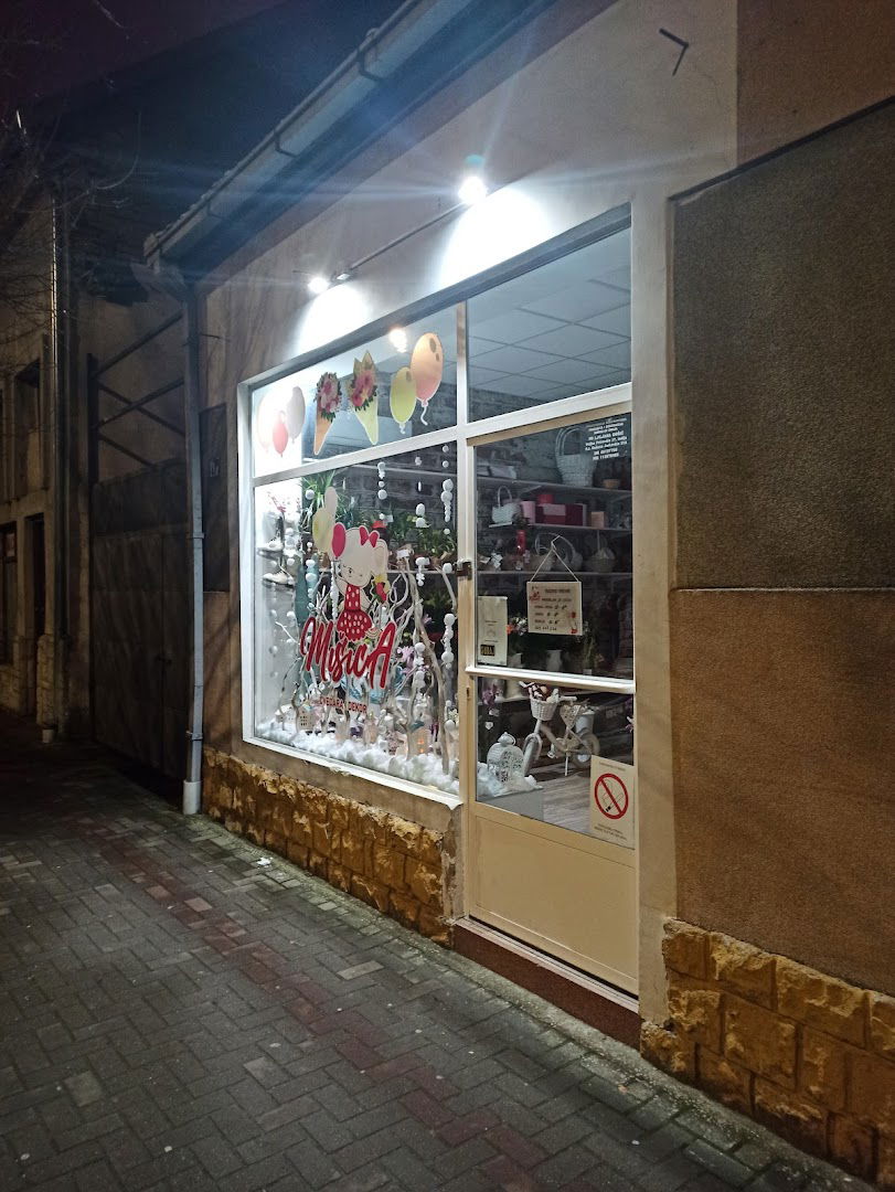 Cvećara i dekor Mišica