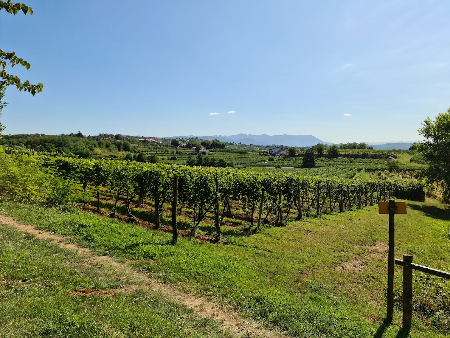 Bosco Plessiva - ingresso Nord